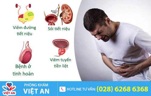 đau bụng dưới
