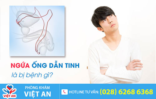Ngứa ống dẫn tinh