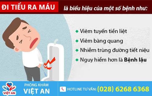 Tiểu có lẫn máu là dấu hiệu nhiều bệnh nguy hiểm