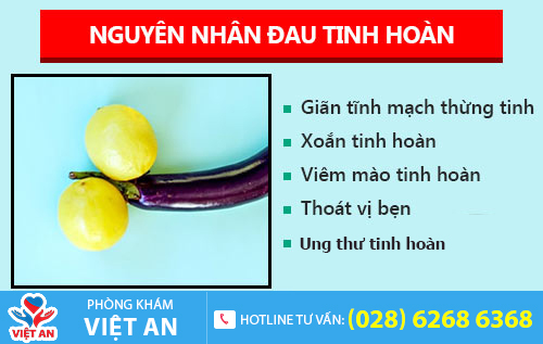 Đau tinh hoàn - dấu hiệu nhiều bệnh nguy hiểm