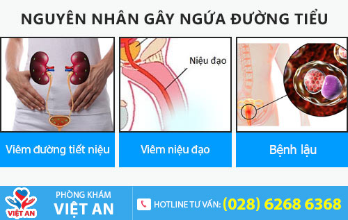 Ngứa đường tiểu là bệnh gì?