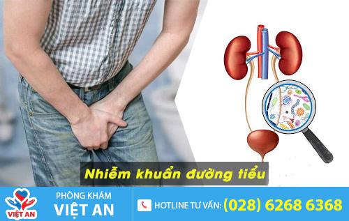 80% trường hợp nhiễm khuẩn tiểu do vi khuẩn E.Coli
