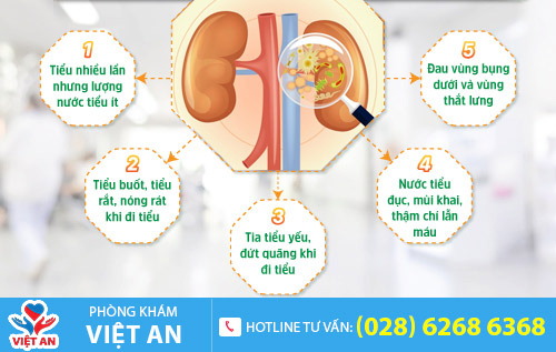 Triệu chứng viêm đường tiểu