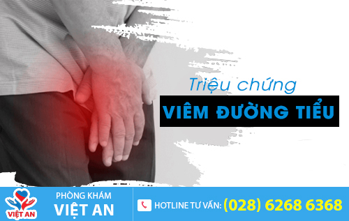 Các triệu chứng viêm đường tiểu