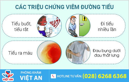 Các triệu chứng viêm đường tiểu