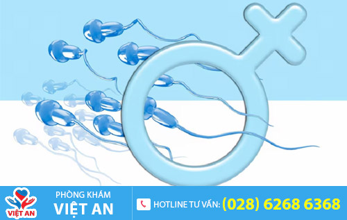 Xuất tinh ngược dòng