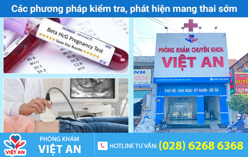 Các phương pháp kiểm tra, phát hiện mang thai sớm