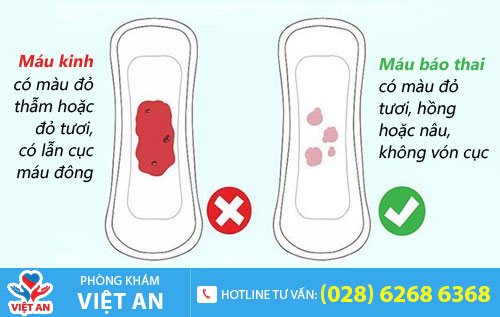 máu báo thai