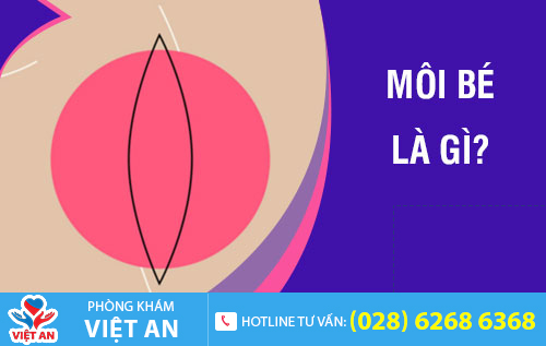 Môi bé âm đạo