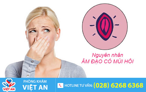 Nguyên nhân âm đạo có mùi hôi