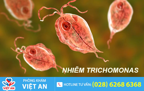 trùng roi trichomonas