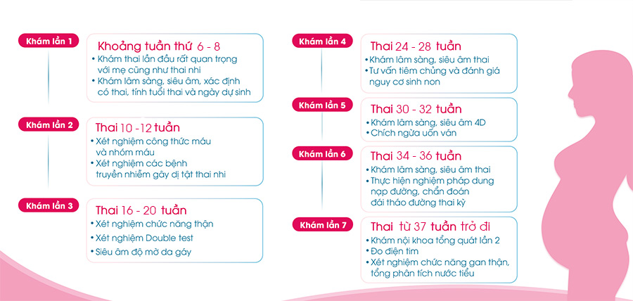 Lịch khám thai định kỳ