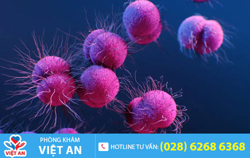 bệnh lậu mãn tính
