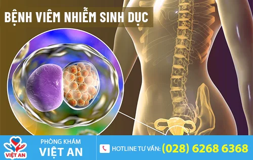 benh viem nhiem sinh duc o nam va nu