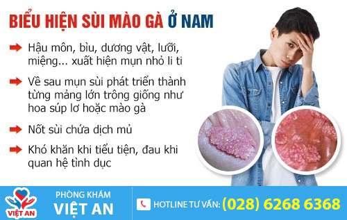 Biểu hiện bệnh sùi mào gà