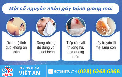Một số nguyên nhân gây ra bệnh giang mai