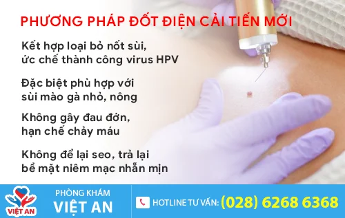 phuong phap dot dien sui mao ga