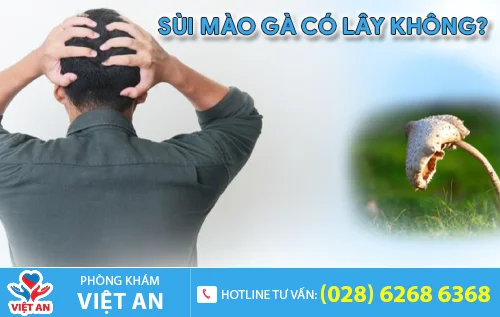 sui mao ga co lay khong khong