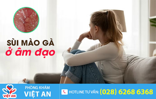 Sùi mào gà ở âm đạo