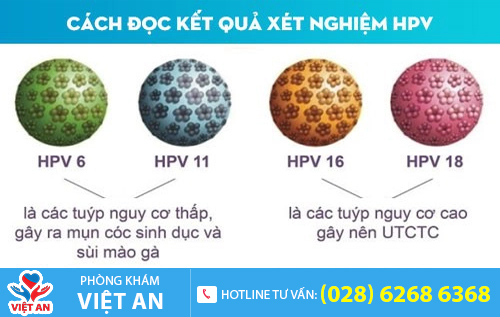 Sùi mào gà có liên quan gì đến ung thư?