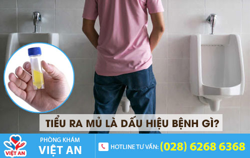 Tiểu ra mủ