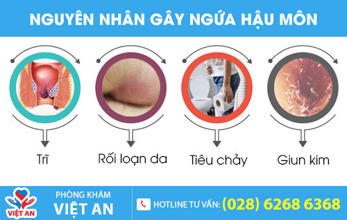 Một số nguyên nhân gây ngứa hậu môn
