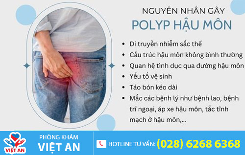 Nguyên nhân polyp hậu môn